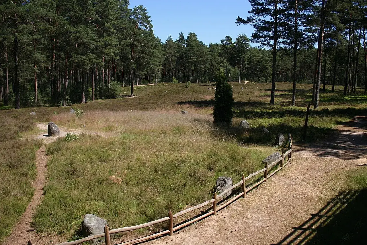 Kamienne kręgi i głazy w lesie, ścieżka i drewniane ogrodzenie. Czersk atrakcje przyrodnicze i historyczne.