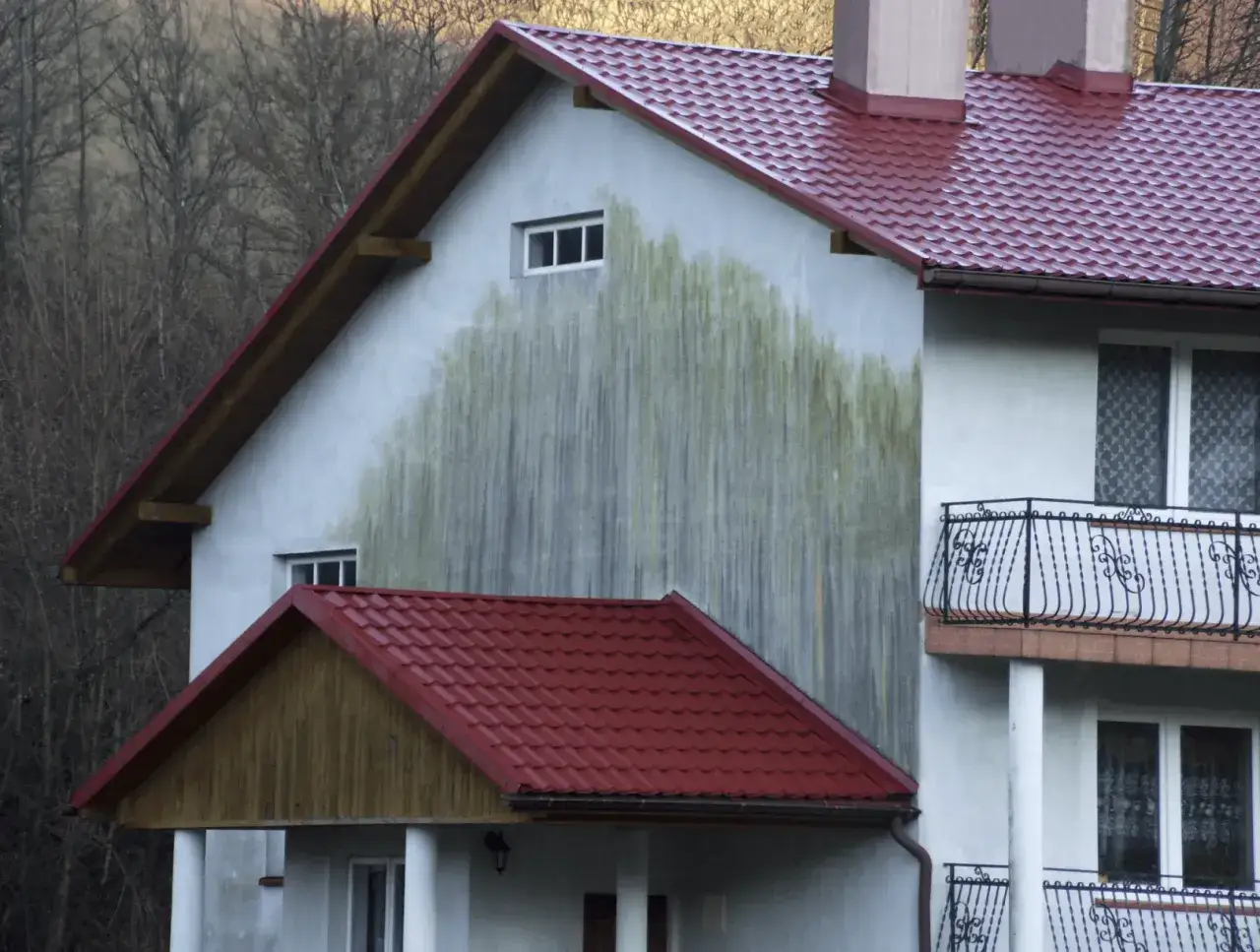 Duże, zielonkawe mokre plamy na elewacji domu, przypominające ślady po deszczu.