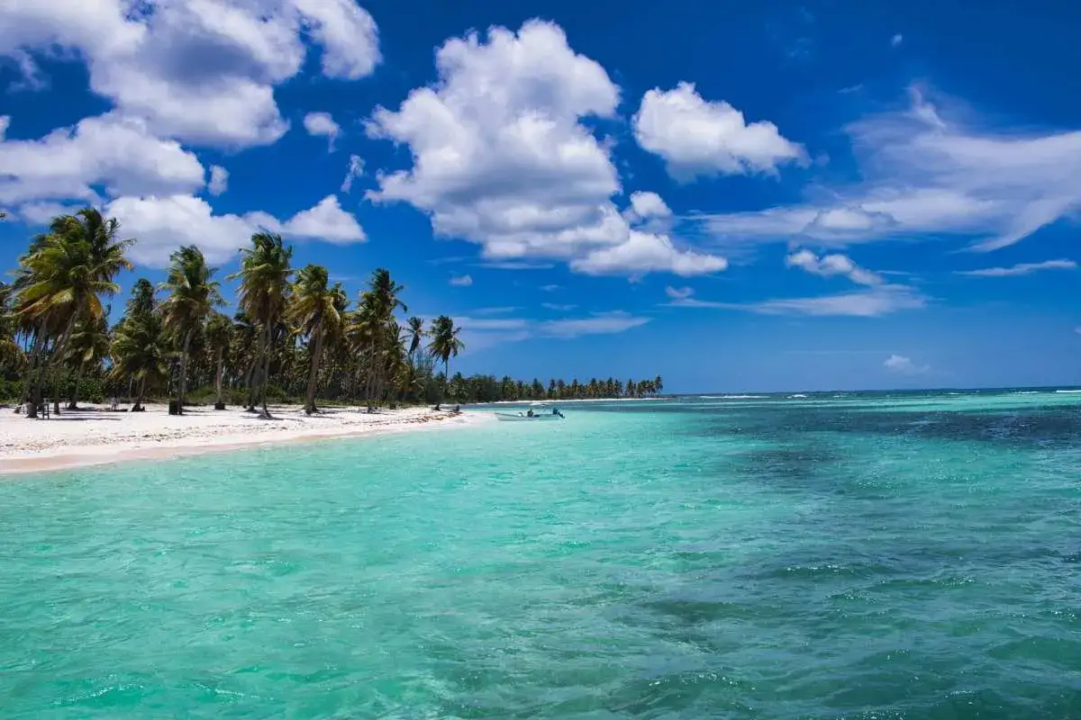 Rajska plaża z palmami i turkusową wodą. Idealne miejsce na relaks i odkrywanie atrakcji Punta Cana.