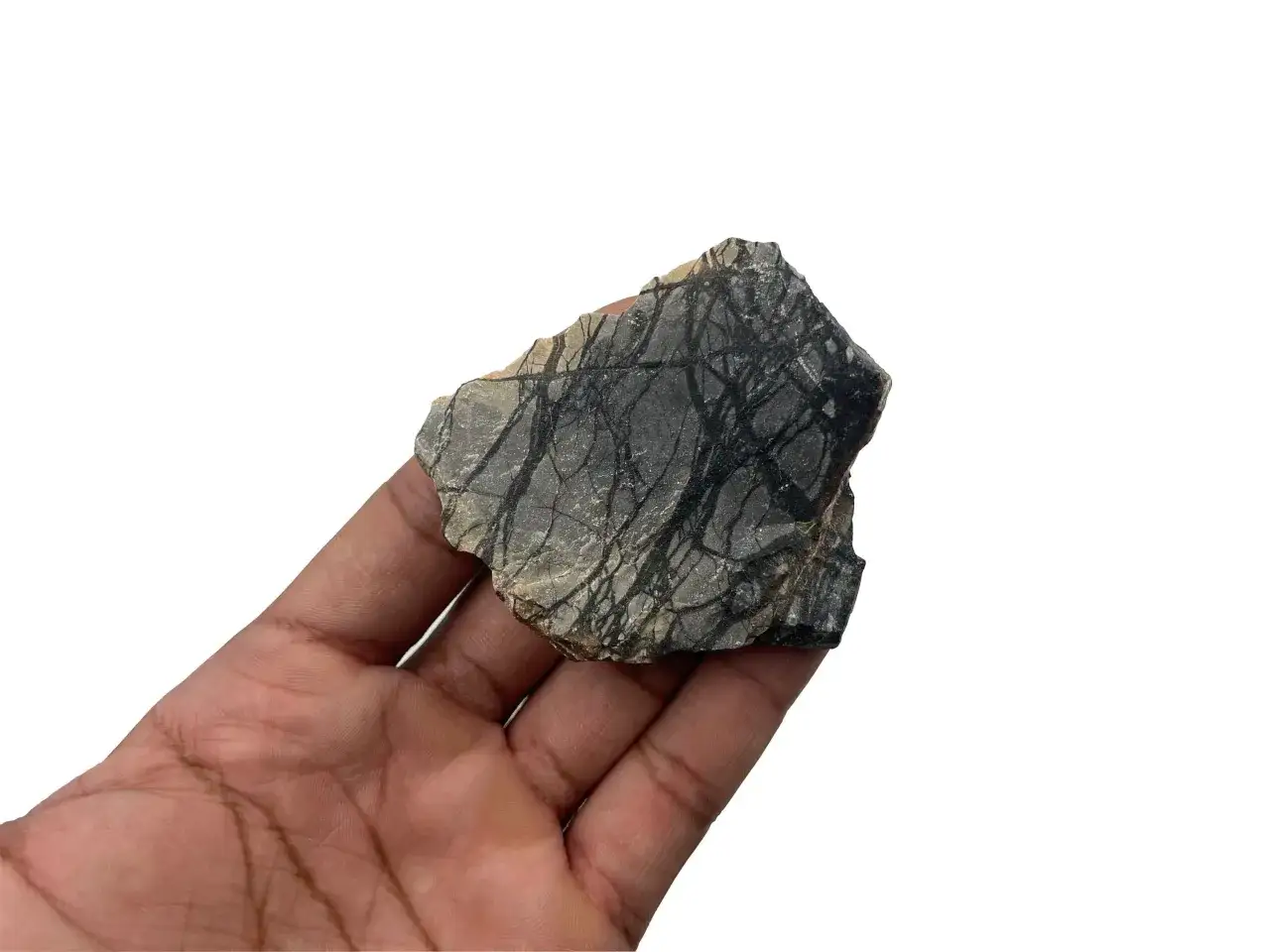 Ein Stück Picasso Jaspis mit seinen charakteristischen schwarzen Linien auf grauem Grund wird in einer Hand gehalten.