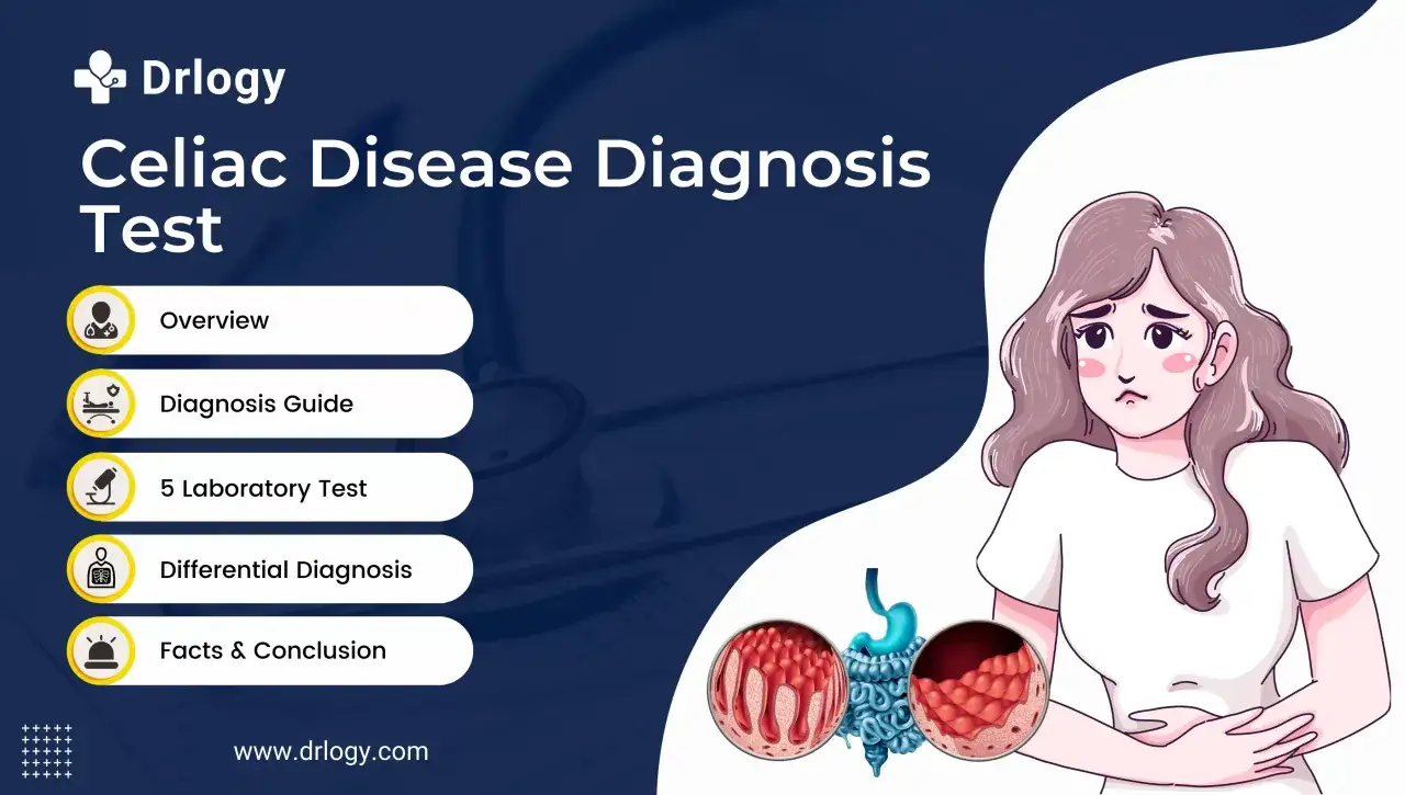 Guida alla diagnosi celiachia: panoramica, test di laboratorio e diagnosi differenziale per capire meglio la tua salute.
