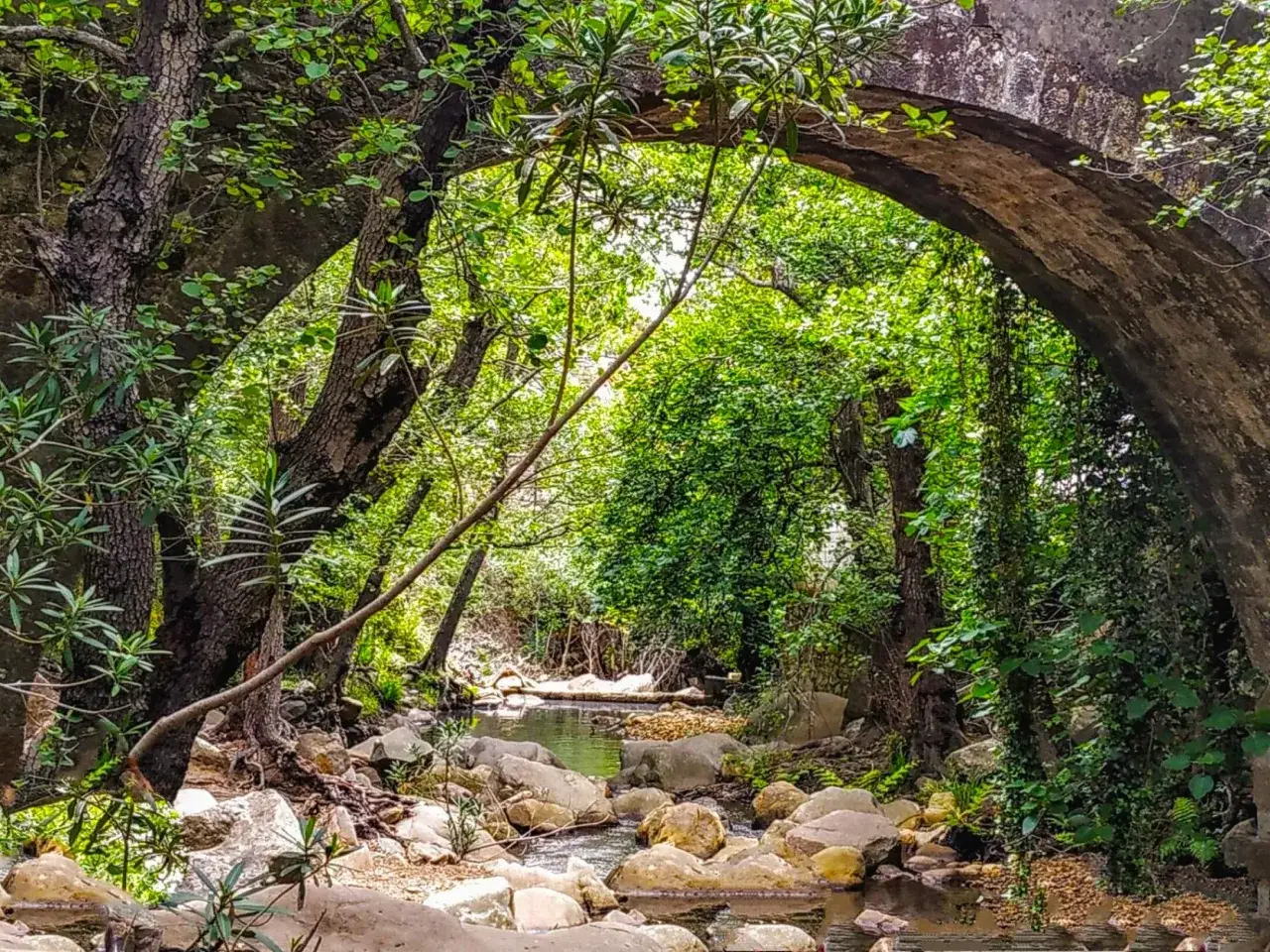 Un puente de piedra arqueado enmarca un arroyo sereno en la ruta río de la miel, rodeado de exuberante vegetación y rocas.