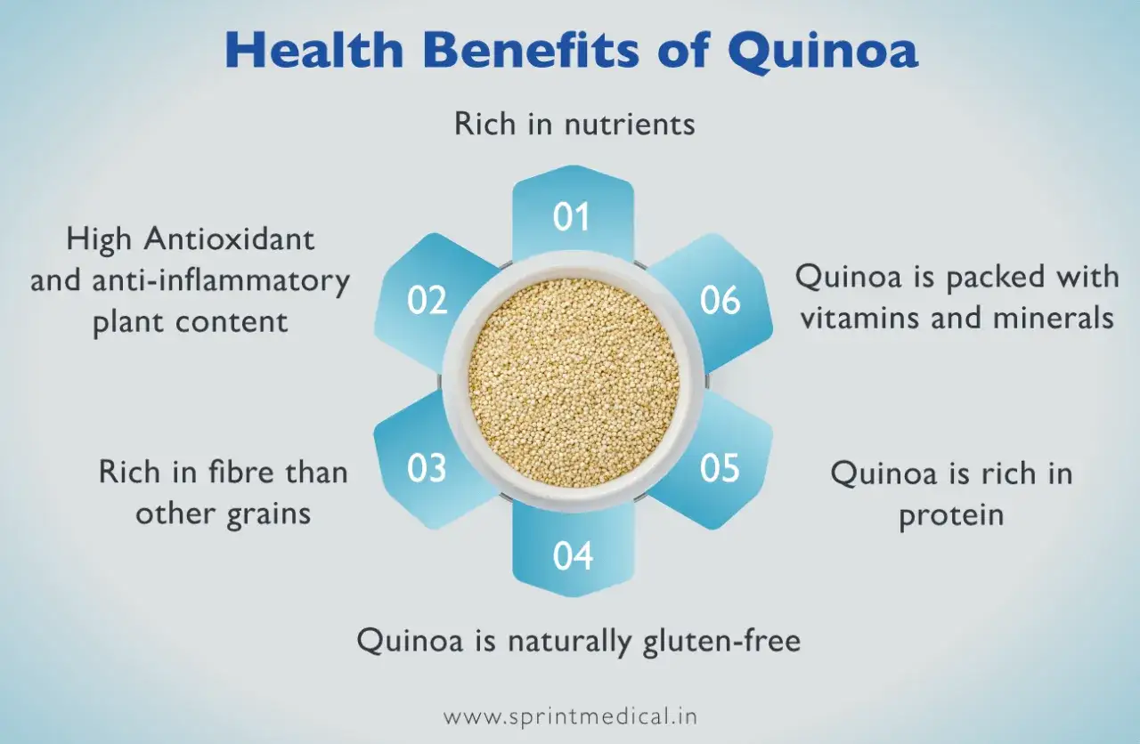Le quinoa, riche en fibres, est un superaliment aux multiples bienfaits : antioxydant, anti-inflammatoire, plein de nutriments, vitamines, minéraux et protéines.