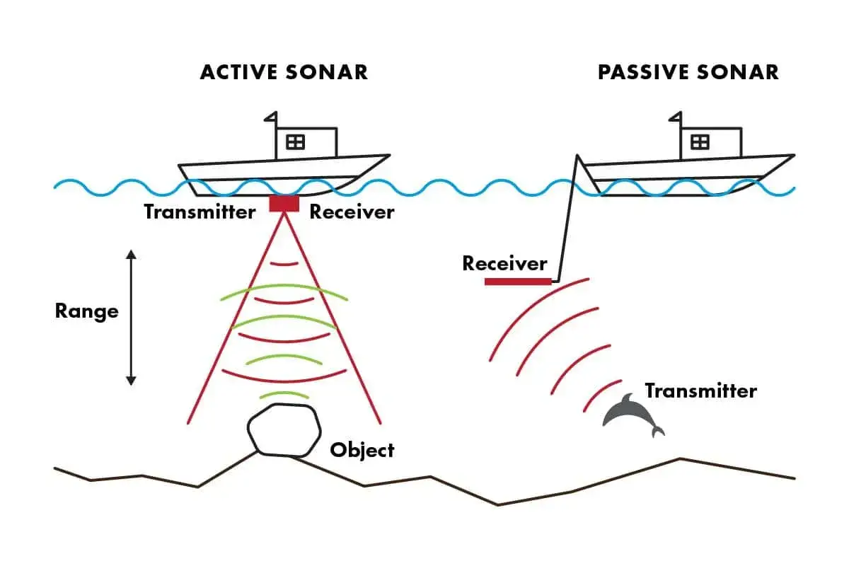 Aktywny sonar wysyła sygnał i odbiera echo od obiektu, pasywny sonar nasłuchuje dźwięk&oacute;w, np. od delfina. Tak działa sonar.