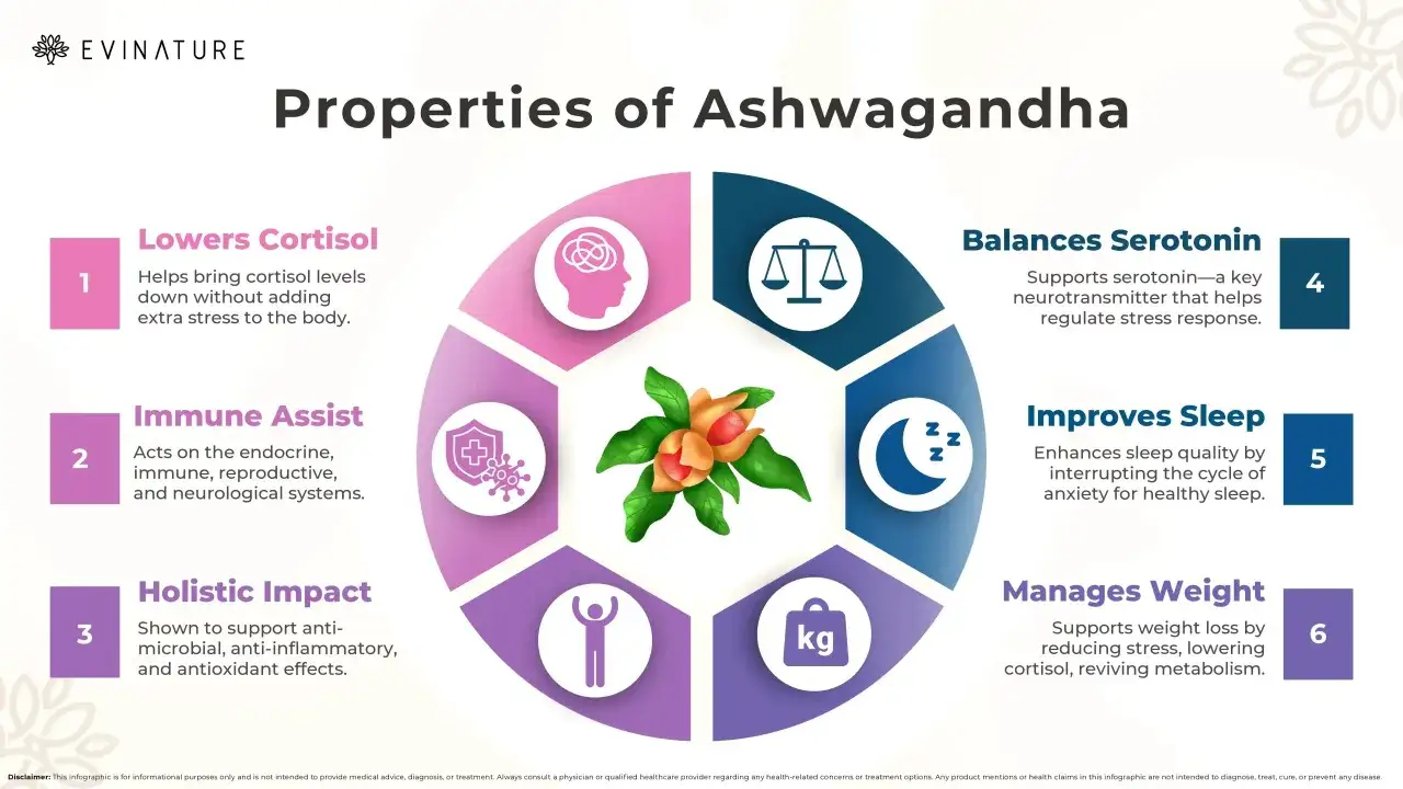 Infografía sobre los ashwagandha beneficios: reduce cortisol, mejora el sueño y el sistema inmune.