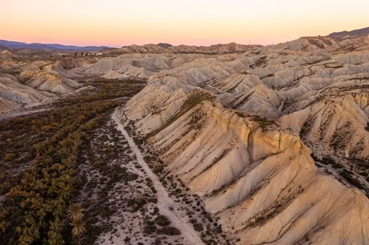 Paisaje del desierto de Tabernas al atardecer. Un camino serpentea entre barrancos y vegetación. ¡Anímate a visitar el desierto de Tabernas gratis!