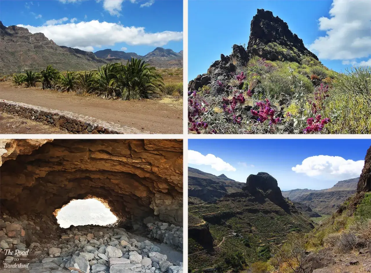 Paysages variés des Canaries : palmiers, rochers fleuris, grotte et vallées verdoyantes. Une invitation à visiter les Canaries.
