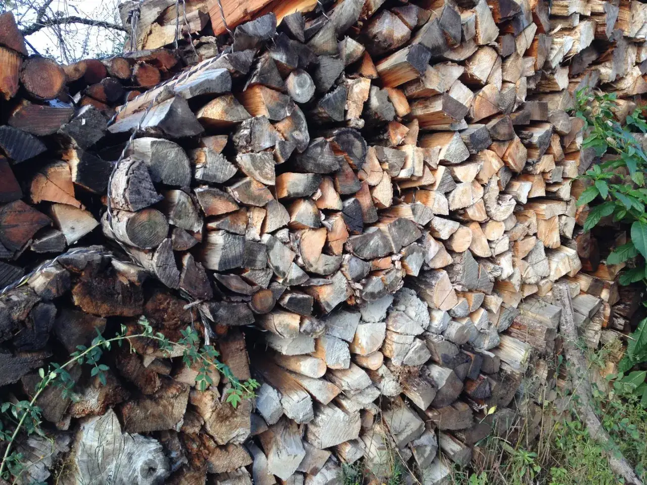 Un tas de bois de chauffage, dont du bois de bouleau, empilé à l'extérieur.