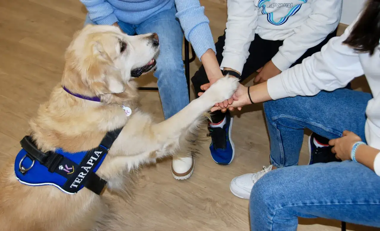 Un perro de terapia con chaleco azul da la pata a varias personas sentadas en c&iacute;rculo.