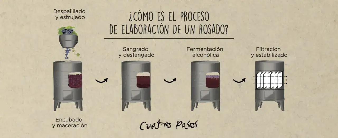 Ilustración muestra cómo se hace el vino rosado en cuatro pasos: despalillado, sangrado, fermentación y filtración.