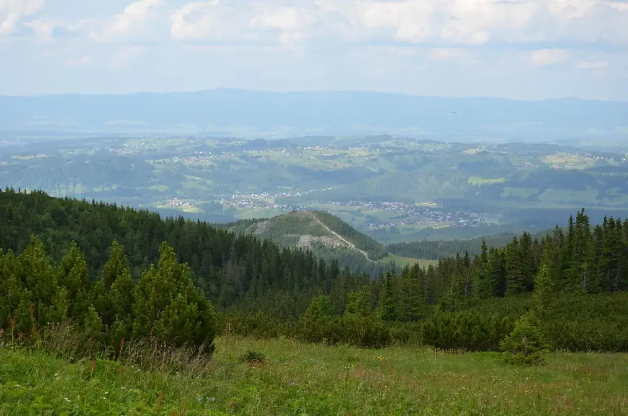Widok na dolinę z lasami i miasteczkiem, na pierwszym planie wielki kopiec porośnięty trawą i krzewami.
