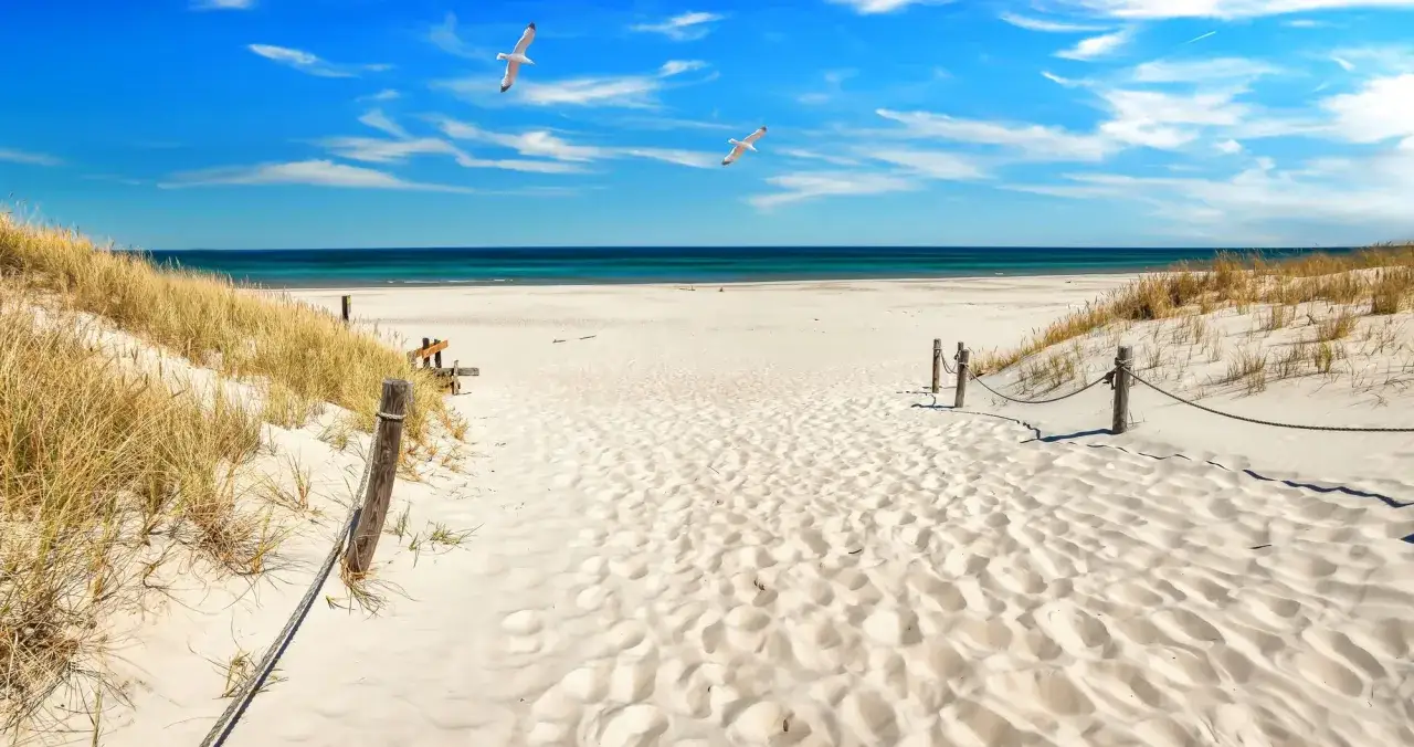 En vacker sandstrand i Tyskland med sanddyner, gr&auml;s och tv&aring; flygande m&aring;sar under en klarbl&aring; himmel.