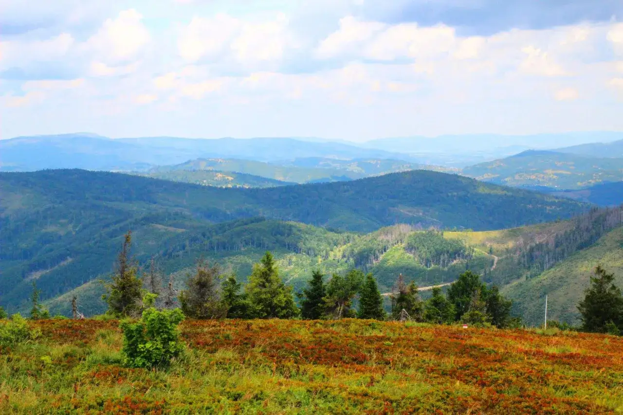 Widok na wielką raczą szlaki wśród zielonych wzgórz i lasów, z chmurami na niebie.