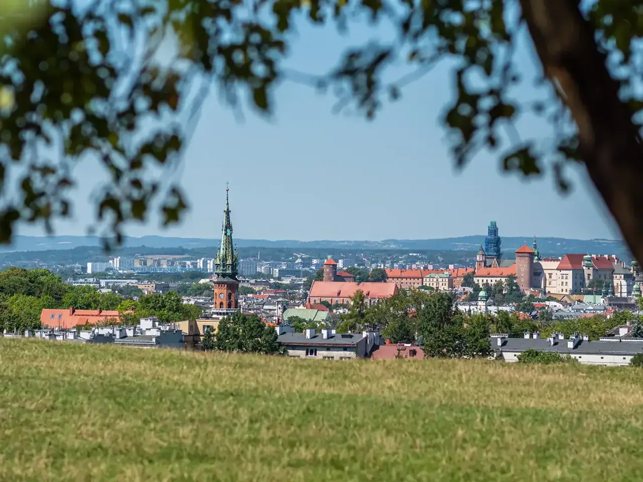 Widok na Wawel i wieżę kościelną w Krakowie z zielonego wzgórza.