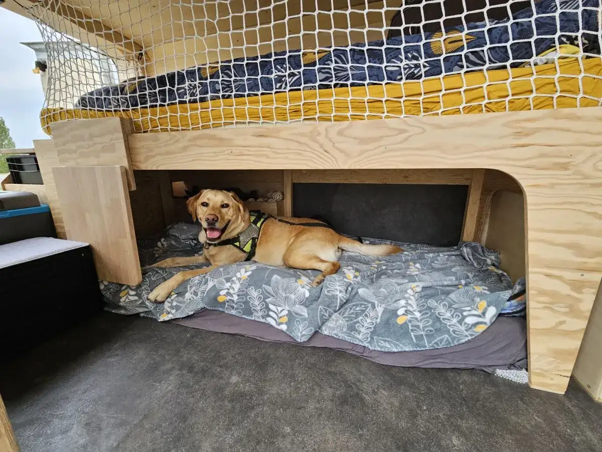 Un chien heureux profite de son aménagement camping-car pour chien, confortablement installé sur un lit douillet sous la couchette.