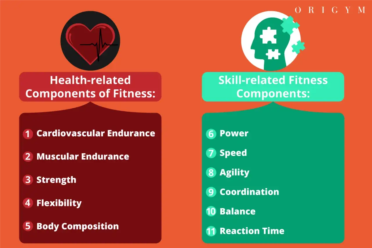 Grafik zeigt Komponenten für ganzheitliches Training: Herzgesundheit (Ausdauer, Kraft, Flexibilität) und sportliche Fähigkeiten (Schnelligkeit, Koordination, Balance).