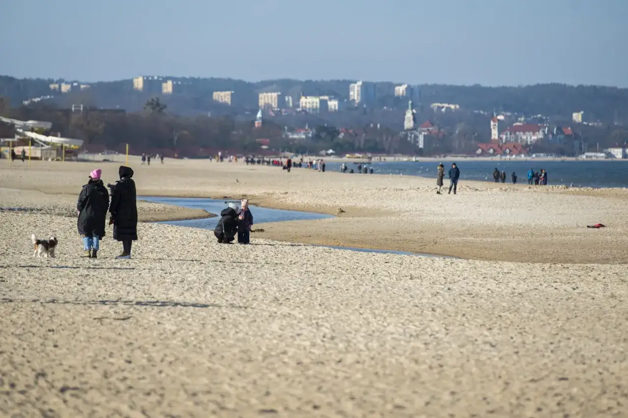 Spacerem po piaszczystej plaży w Jelitkowie, w tle widać miasto i morze. Ludzie spacerują, a piesek radośnie biega.