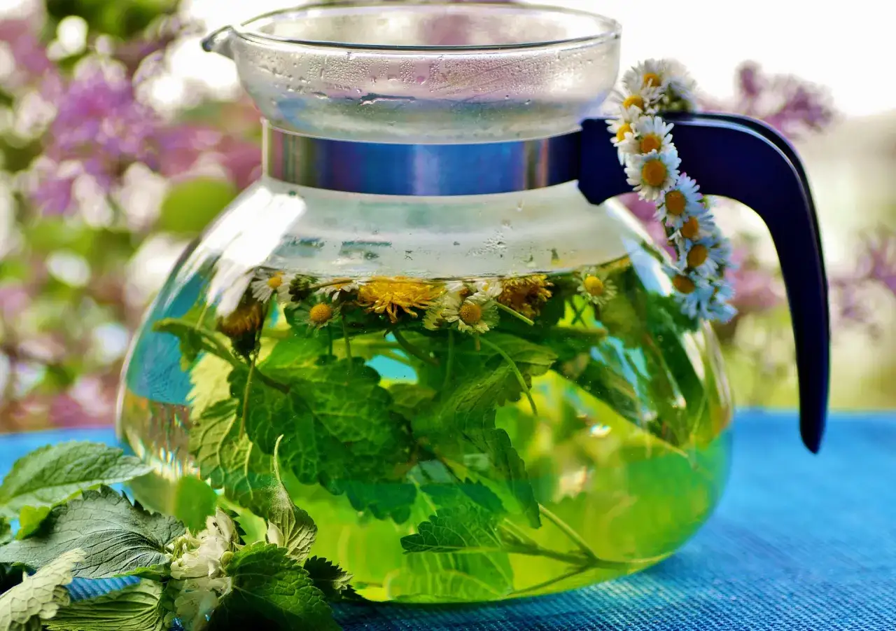 Une théière en verre remplie d'une tisane verte aux herbes et fleurs. Une guirlande de marguerites décore la anse. Combien de temps peut-on garder une tisane infusée ?
