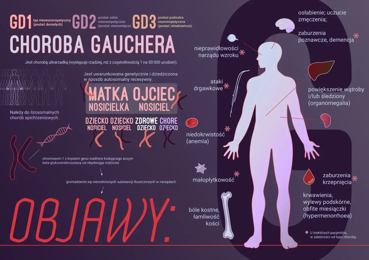 Choroba Gauchera: objawy obejmują bóle kostne, powiększenie narządów, zaburzenia krzepnięcia i osłabienie.