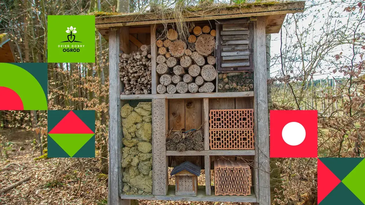 Domek dla owadów, w tym dla pszczoły murarki, wypełniony gałązkami, drewnem i cegłami.