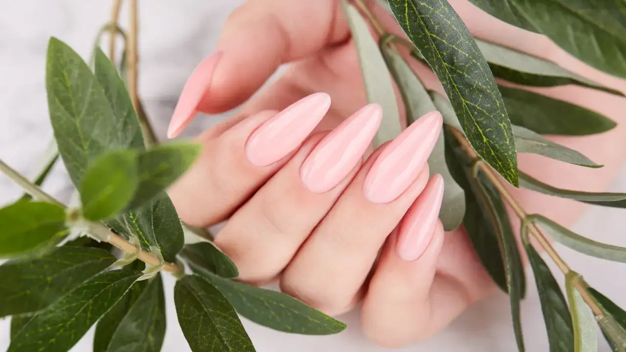 Mano con unghie naturali a mandorla, rosa pastello, tra rami verdi.