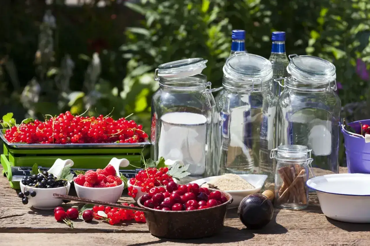 Owoce, cukier, alkohol i słoje &ndash; wszystko gotowe do zrobienia nalewki. Czy nalewka może sfermentować? Zależy od składnik&oacute;w i sposobu przygotowania.
