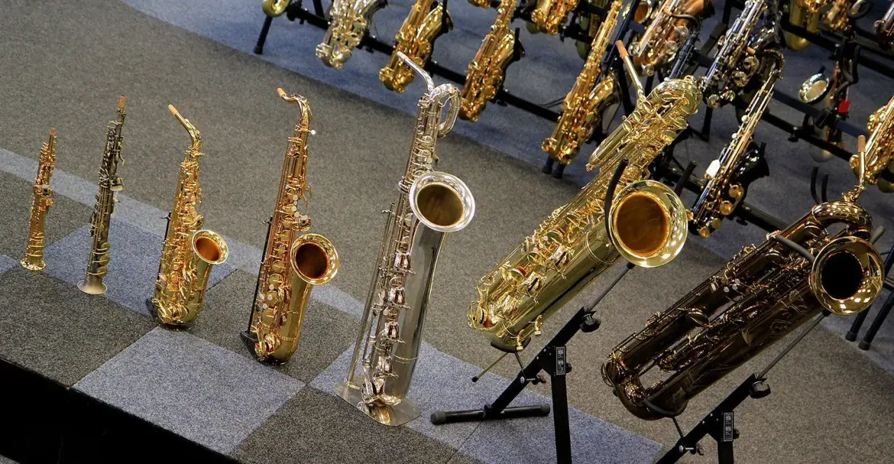 Collection de saxophone types, du plus petit au plus grand, sur des supports.