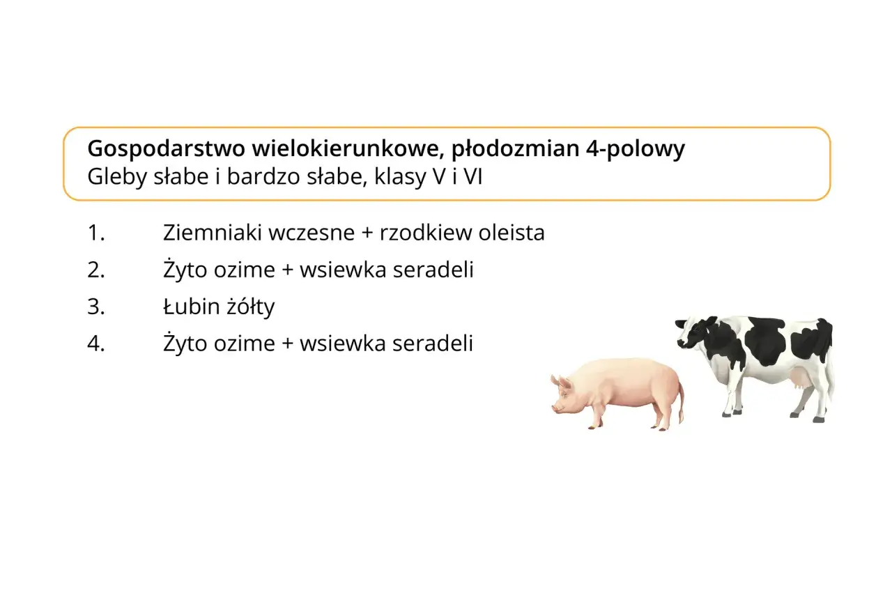 Gospodarstwo wielokierunkowe z płodozmianem 4-polowym na słabych glebach. Wizerunek świni i krowy symbolizuje zrównoważone rolnictwo ekologiczne.