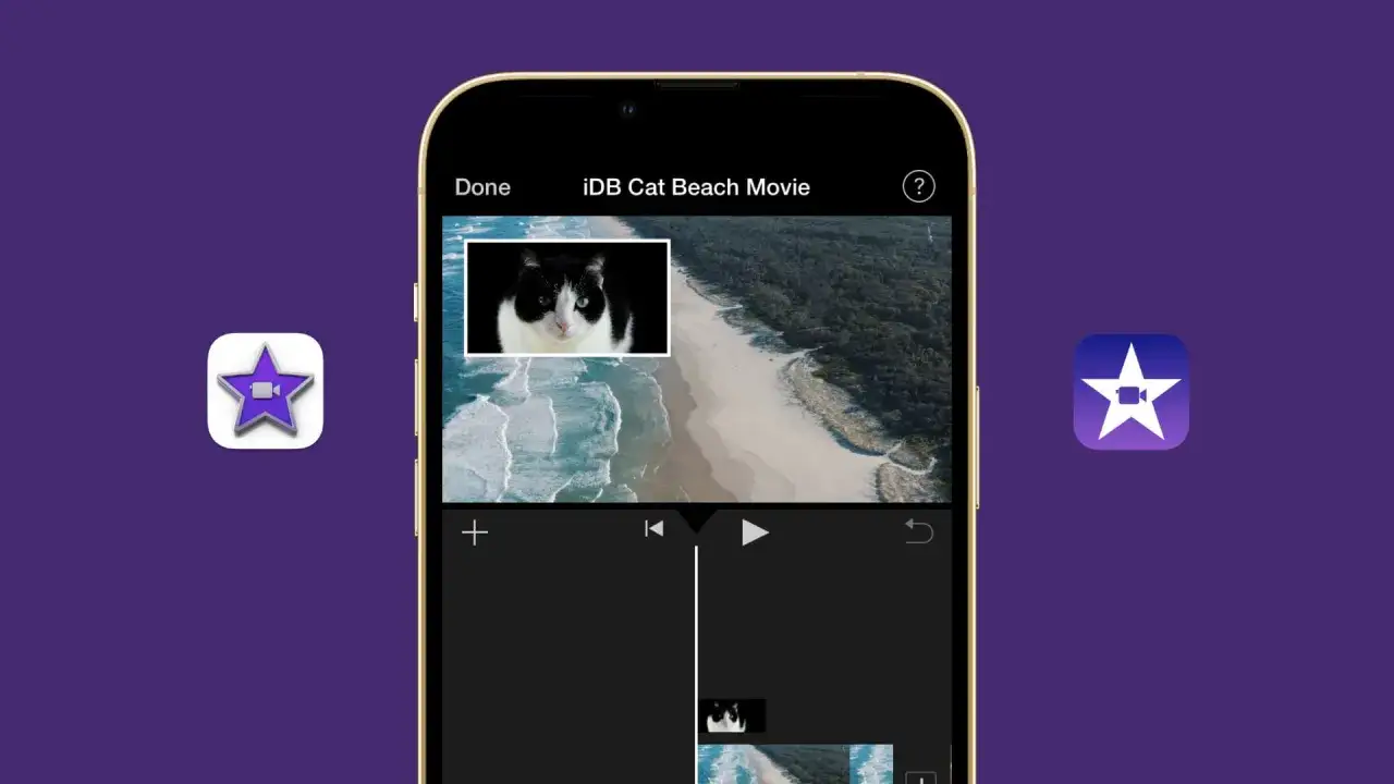 En bild i bild iPhone-vy visar en katt på en strandfilm. iMovie-ikonen syns bredvid.