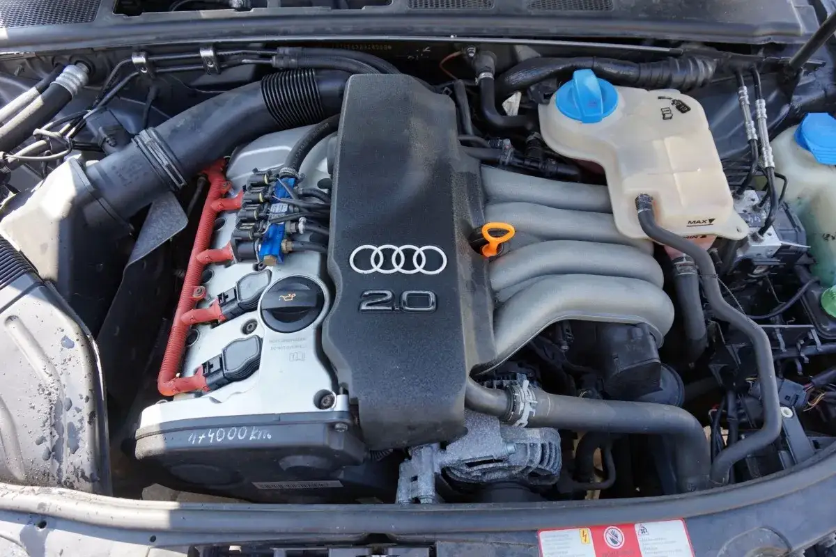 Silnik 2.0 benzyna Audi A4 B6. Widoczne wtryskiwacze, cewki zapłonowe i zbiornik płynu chłodniczego.