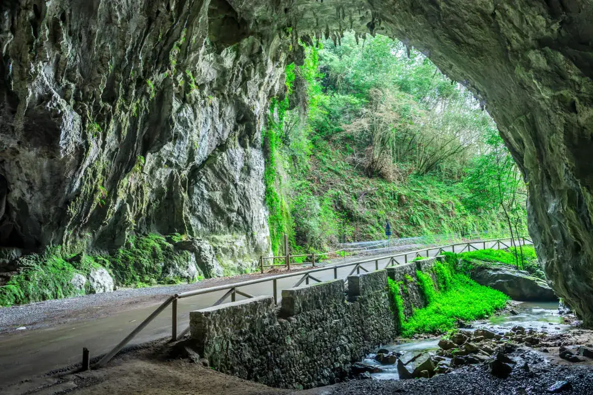 Salida de una cueva con vegetación exuberante y un camino que invita a explorar qué ver en Ribadesella.