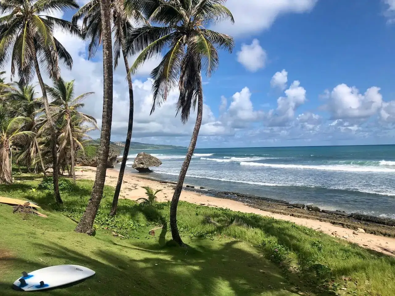 Rajska plaża na Barbadosie z palmami i deskami surfingowymi. Sprawdź atrakcyjne **Barbados ceny** na wakacje marzeń!