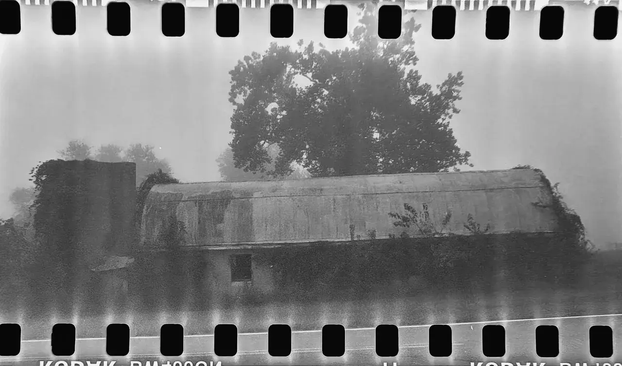 A foggy, black and white image of an overgrown, abandoned building. The film strip borders suggest a stand development process, capturing the eerie atmosphere.