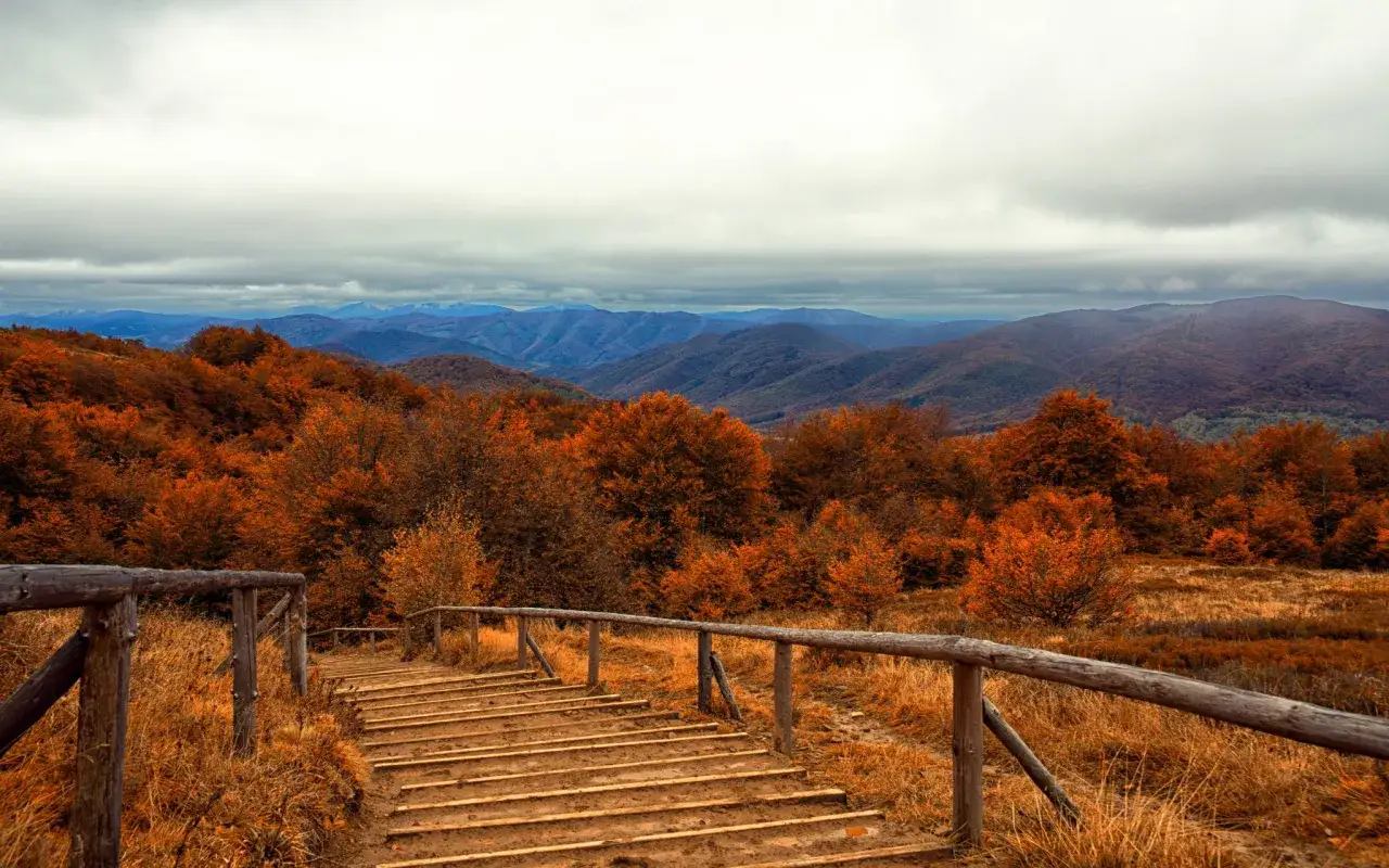 Bieszczady widok z lotu ptaka, połoniny