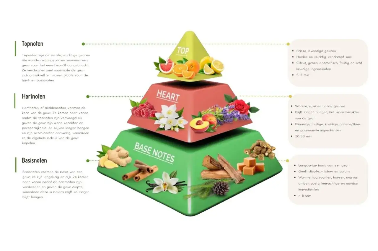 Piramide zapachowa: nuty głowy (cytrusy, np. **citral**), nuty serca (kwiaty, owoce) i nuty bazy (drewno, wanilia).