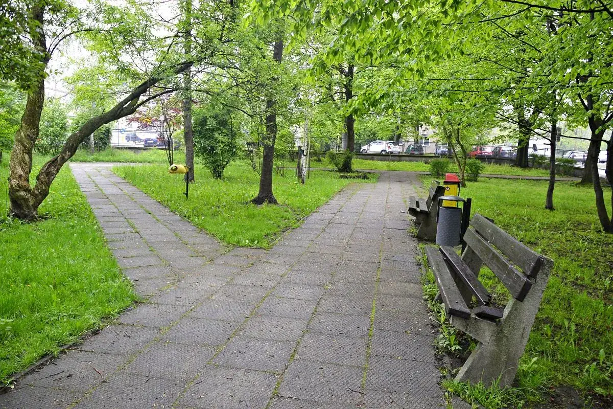 Rozwidlająca się ścieżka w zielonym parku miejskim. Ławki i kosze na śmieci zachęcają do odpoczynku.