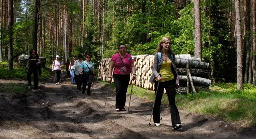 Osoba uprawiająca Nordic Walking w lesie