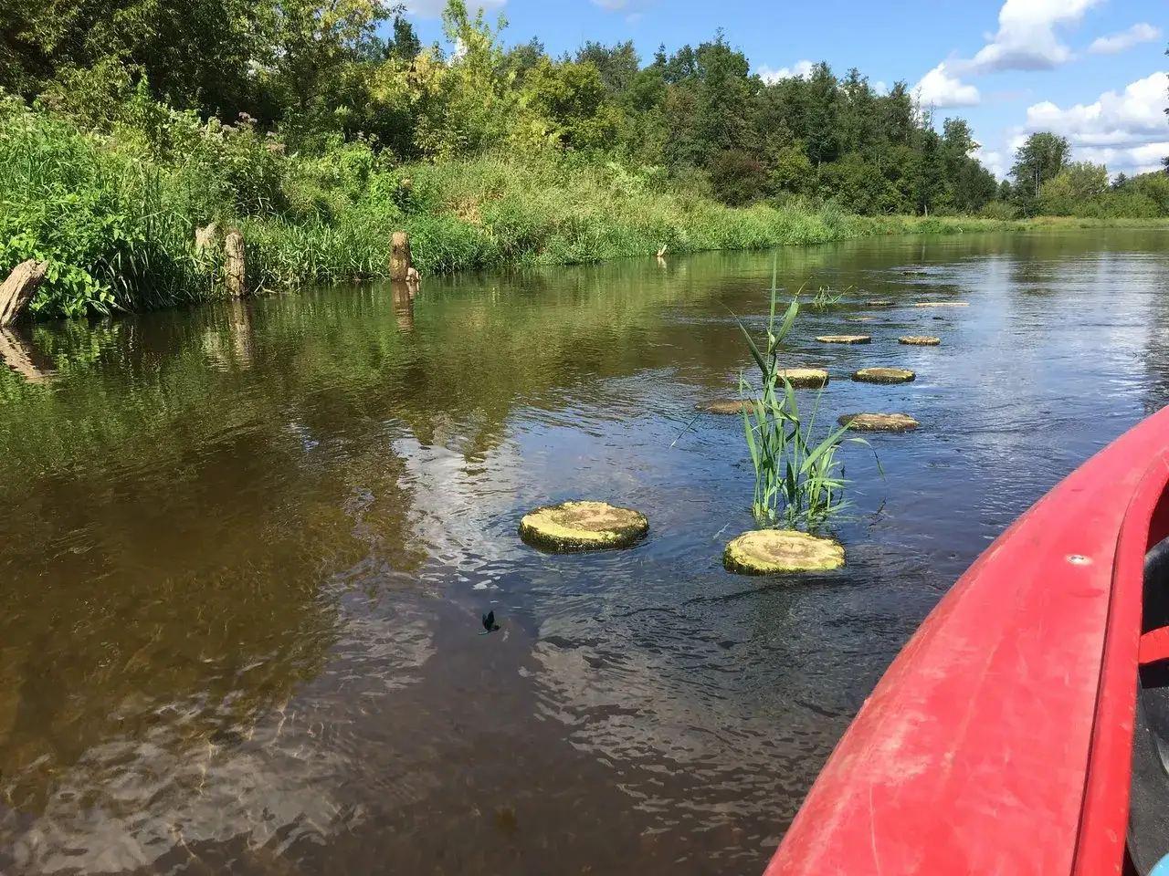Wywłoka w starorzeczu Bugu, z kamieniami tworzącymi ścieżkę. Wiosłowanie kajakiem po spokojnej wodzie.