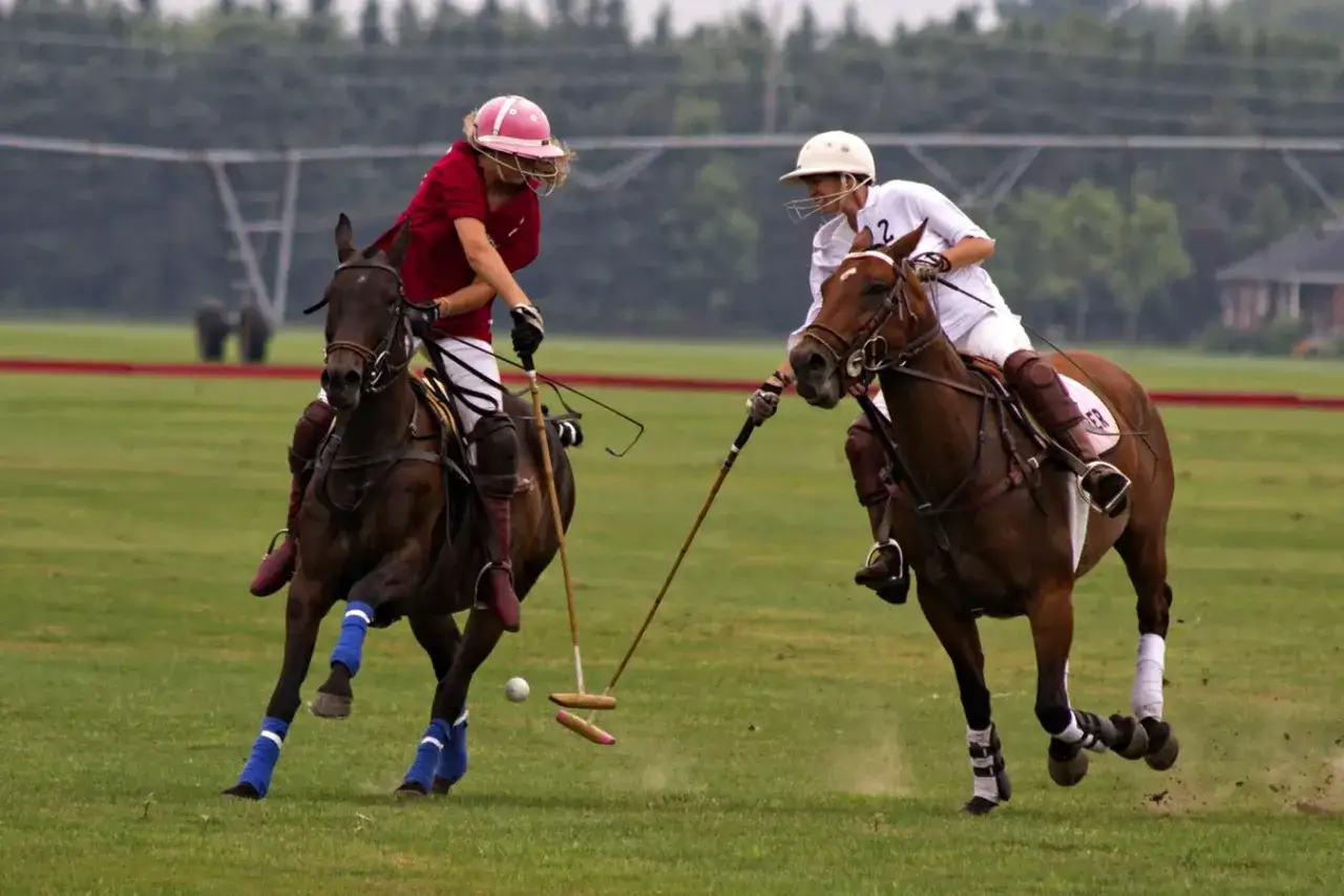 U. S. Polo Assn. asortyment produktów