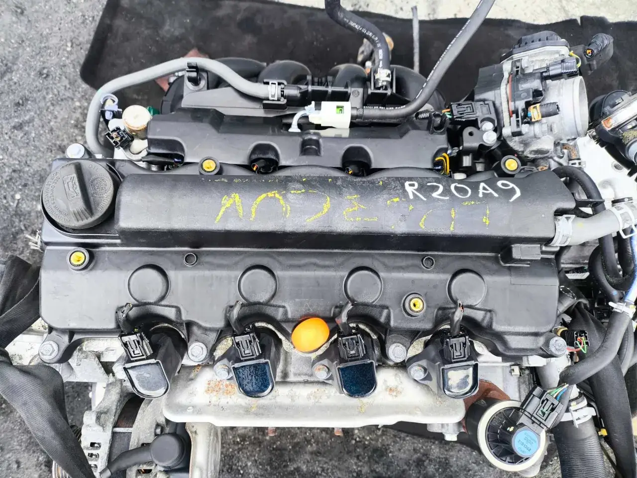 Silnik Honda CR-V 2.0 benzyna, oznaczony R20A9, z widocznymi cewkami zapłonowymi i elementami układu dolotowego.