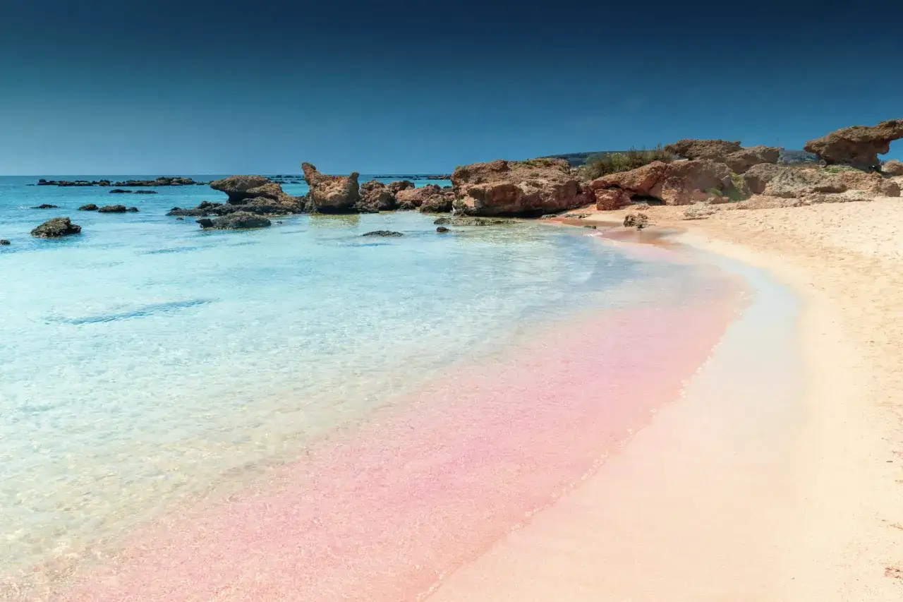 Plaża Elafonissi różowy piasek