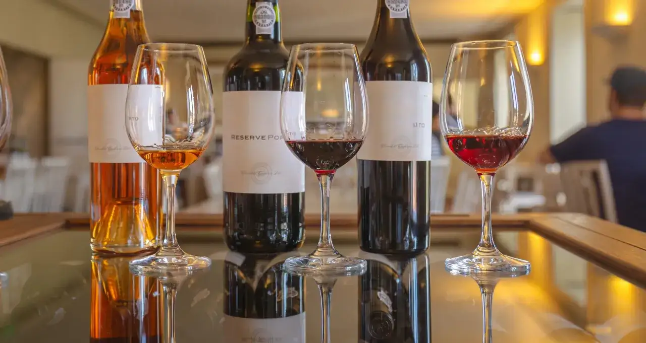 Degustacja wina porto: butelki i kieliszki z bursztynowym i rubinowym winem na błyszczącym stole.