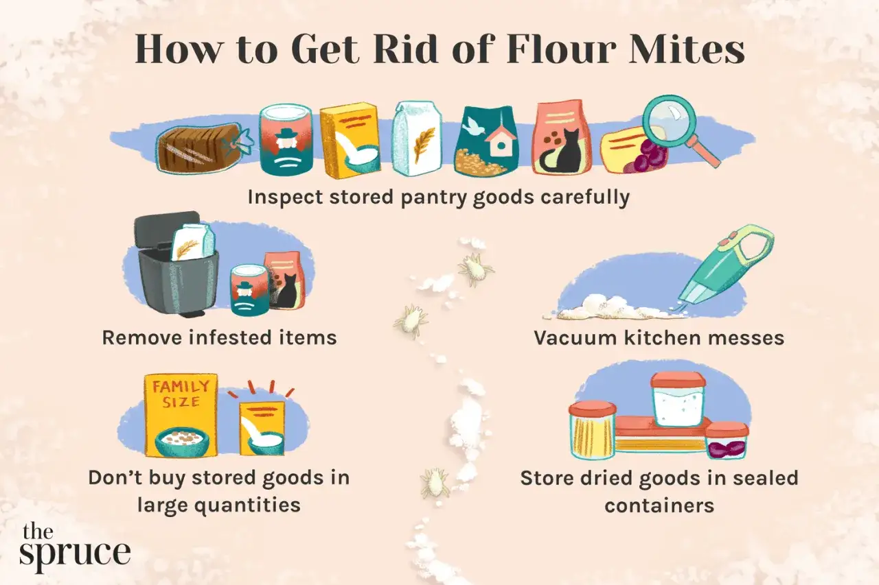 Conseils pour se d&eacute;barrasser des acariens de farine : inspecter, jeter, aspirer, acheter moins. Ces minuscules cr&eacute;atures, semblables &agrave; un papillon de farine, peuvent infester vos provisions.