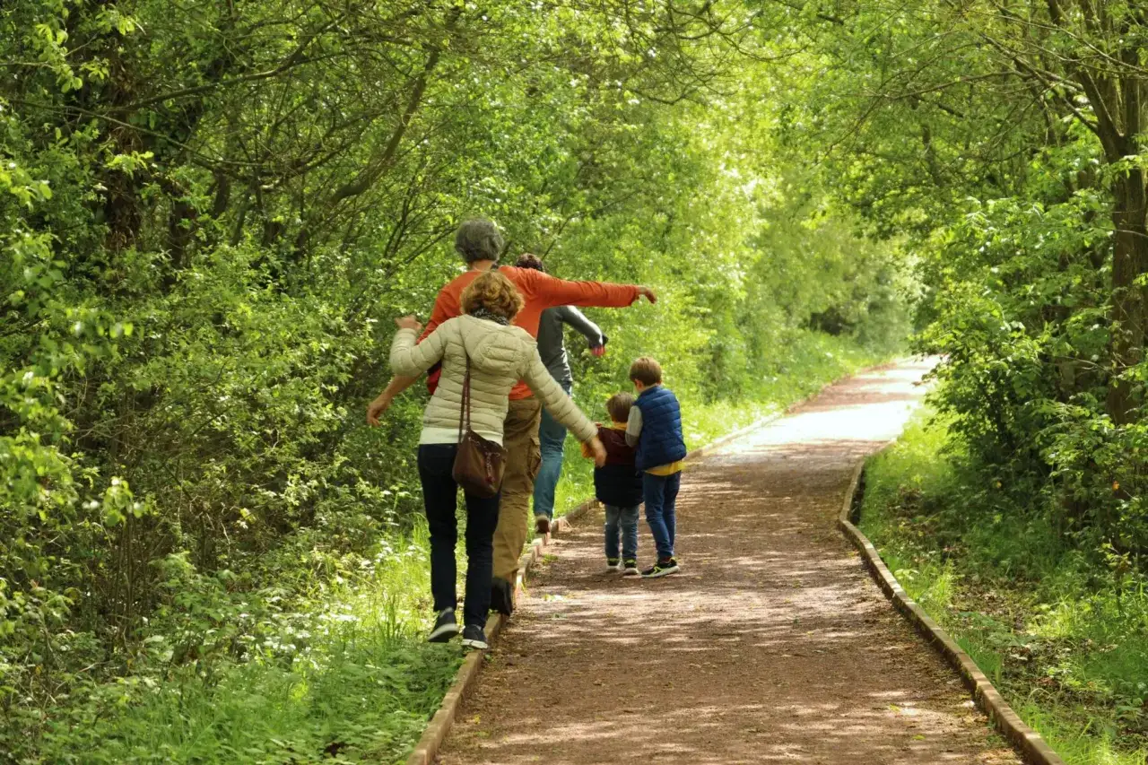 Une famille profite d'une promenade ensoleillée sur un sentier boisé près du lac de Tremelin.