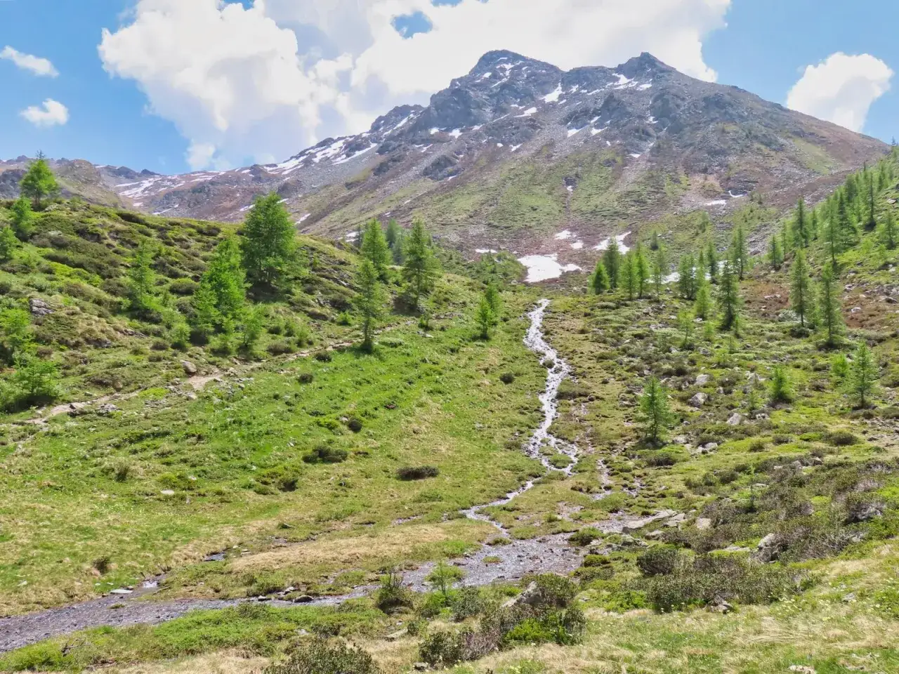Un ruscello scende da un monte innevato, tra prati verdi e alberi. Un paesaggio alpino da sogno, perfetto per avvistare un camoscio.