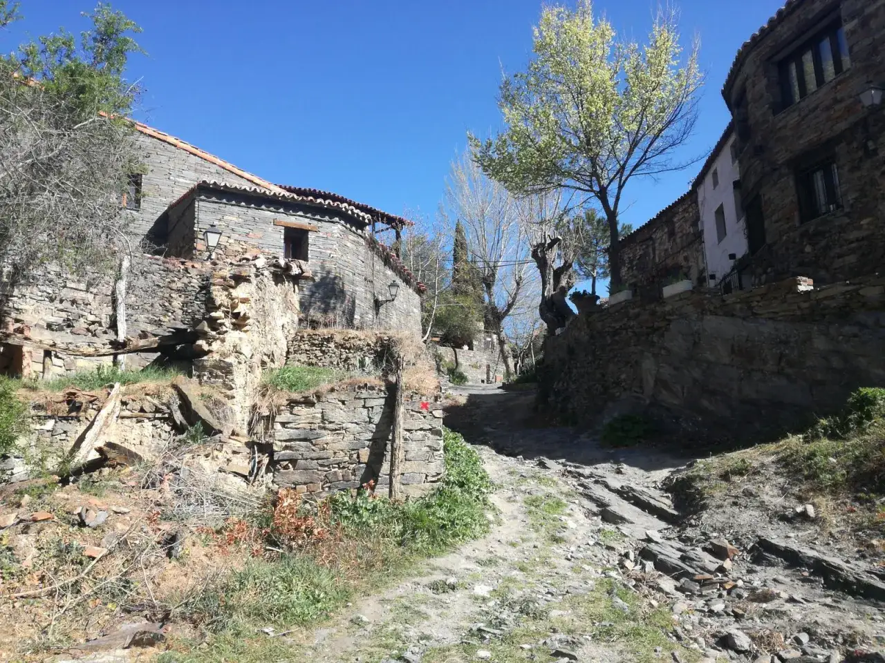 Un camino empedrado serpentea entre casas de piedra en Patones de Arriba. Un día soleado invita a explorar estas rutas.