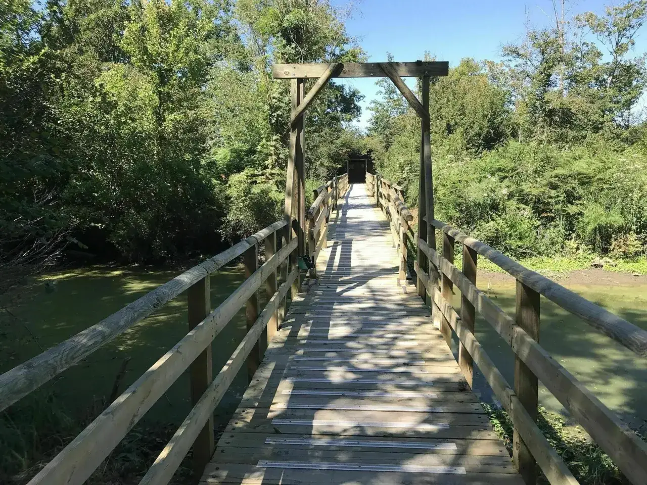 Pont en bois traversant un marais verdoyant, un chemin de randonnée en Île-de-France.