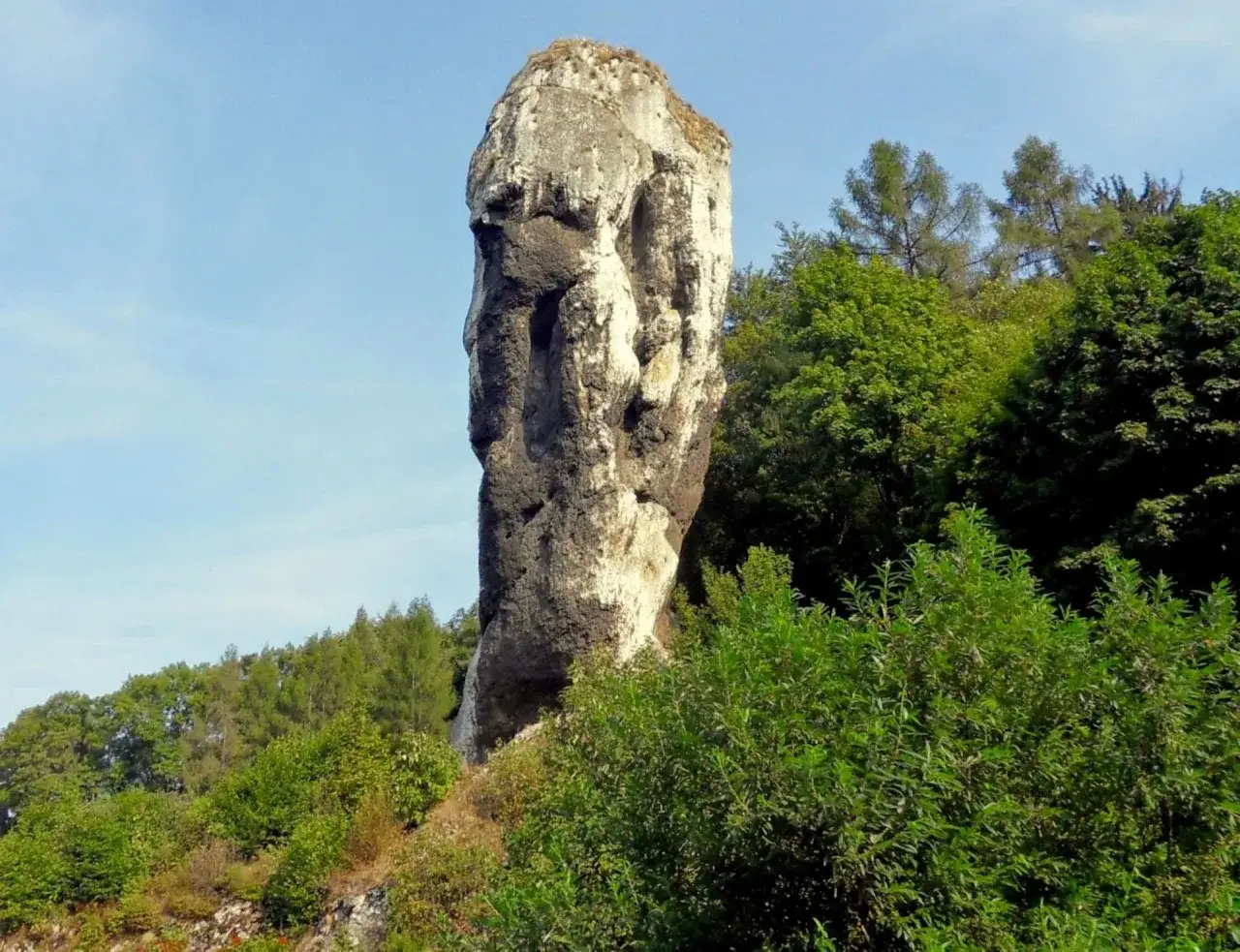 Maczuga Herkulesa na trasie turystycznej, skalny monolit w otoczeniu zieleni.