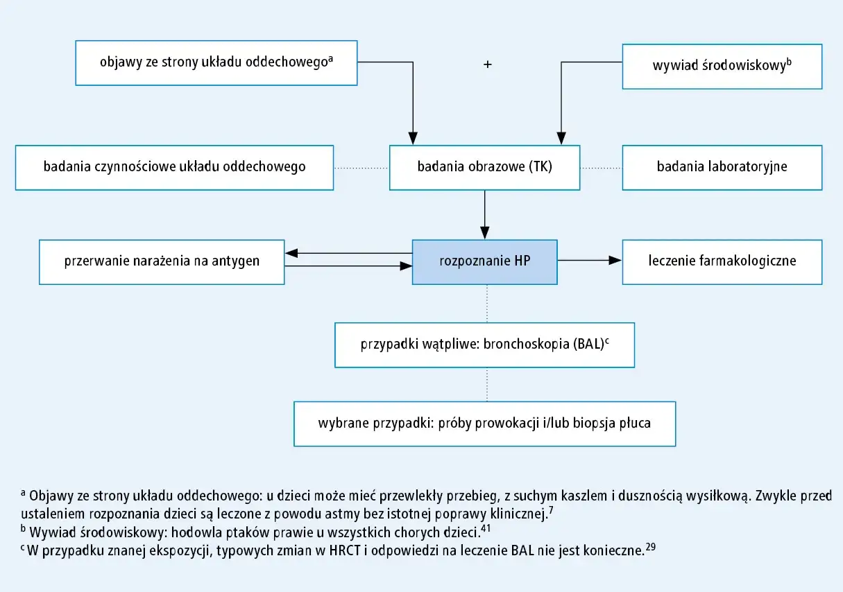 Schemat diagnostyki HP. Objawy oddechowe, badania obrazowe i laboratoryjne prowadzą do rozpoznania HP, które skutkuje leczeniem. Jak się umiera na zapalenie płuc? Ten schemat pokazuje drogę do diagnozy.