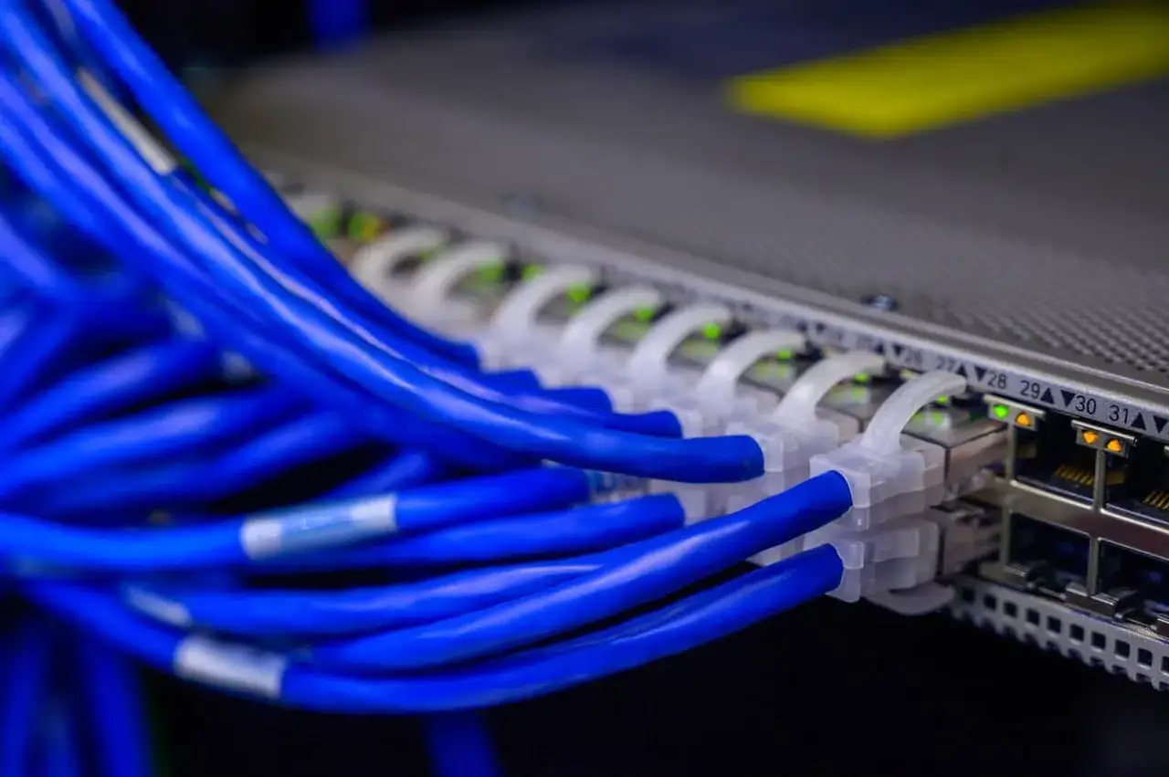 Sieć serwerowa z niebieskimi kablami Ethernet. Idealne rozwiązanie dla darmowy hosting bez reklam.